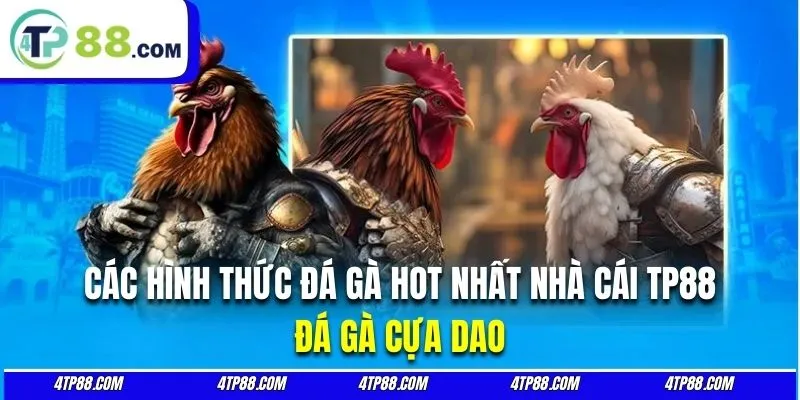 Đá gà TP88 cựa dao quy tụ hàng triệu lượt tham gia đặt cược bởi sự kịch tính