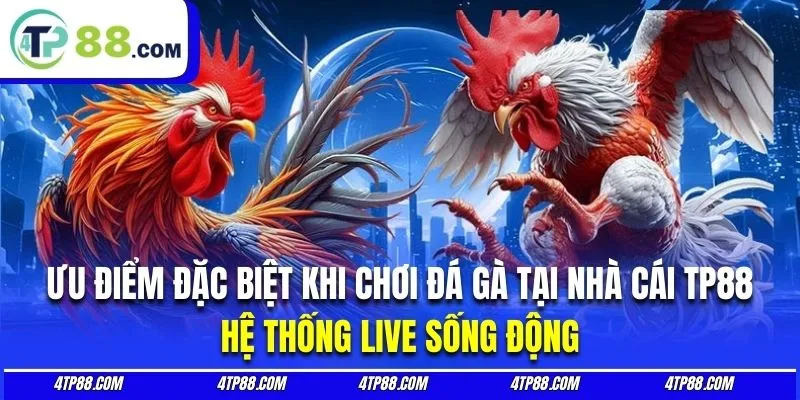 Sảnh chơi chọi kê quy tụ hệ thống live vô cùng sắc nét