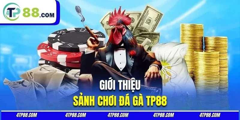 Đôi nét sảnh cược đá gà trực tiếp tại nhà cái TP88