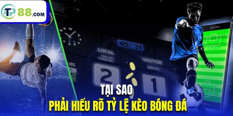 Hiểu rõ tỷ lệ kèo giúp hội viên chinh phục cá cược bóng đá dễ dàng hơn