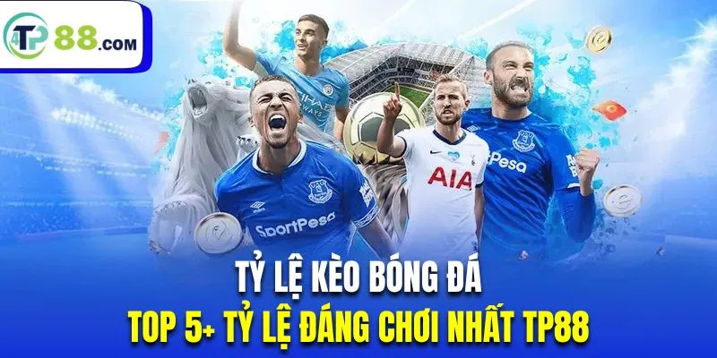 tỷ lệ kèo bóng đá - ảnh đại diện